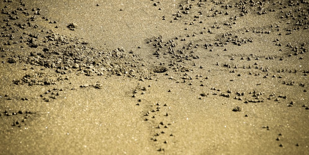 Sand Boden