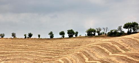 Landschaft Toscana 